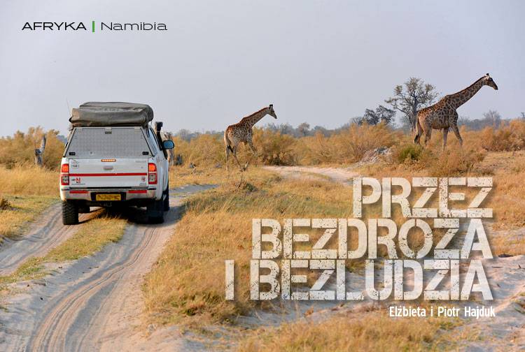 Losowy darmowy artykuł